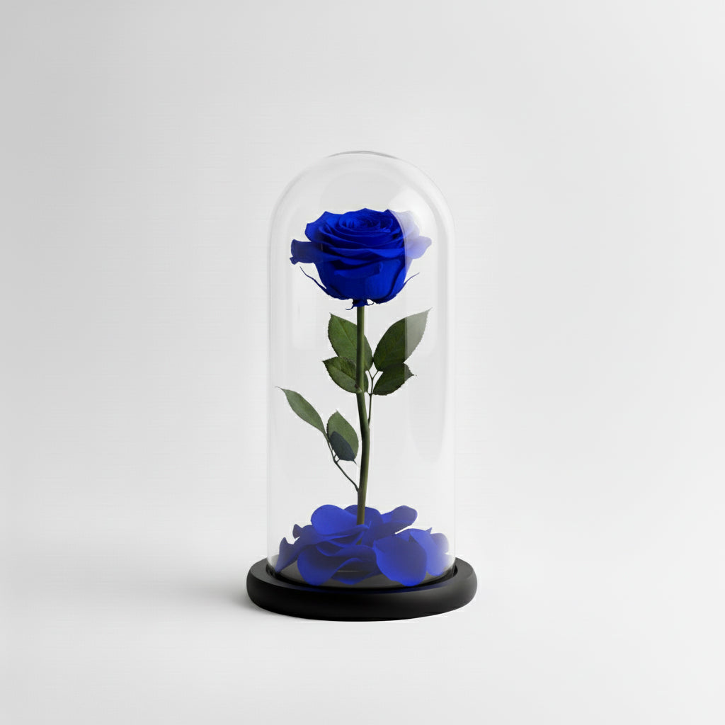 Eternal Blue Rose