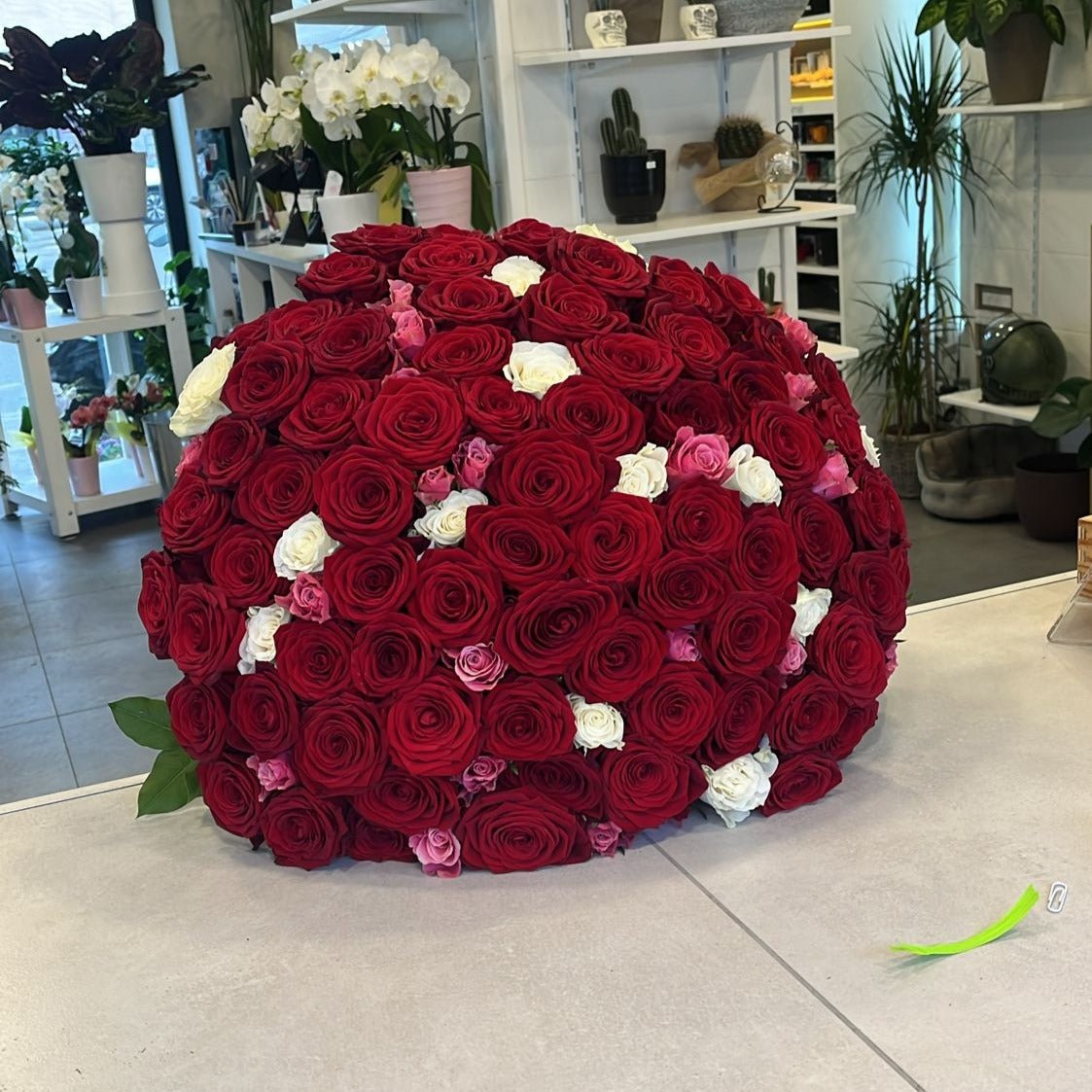 100 Rose Rosse - DELUXY