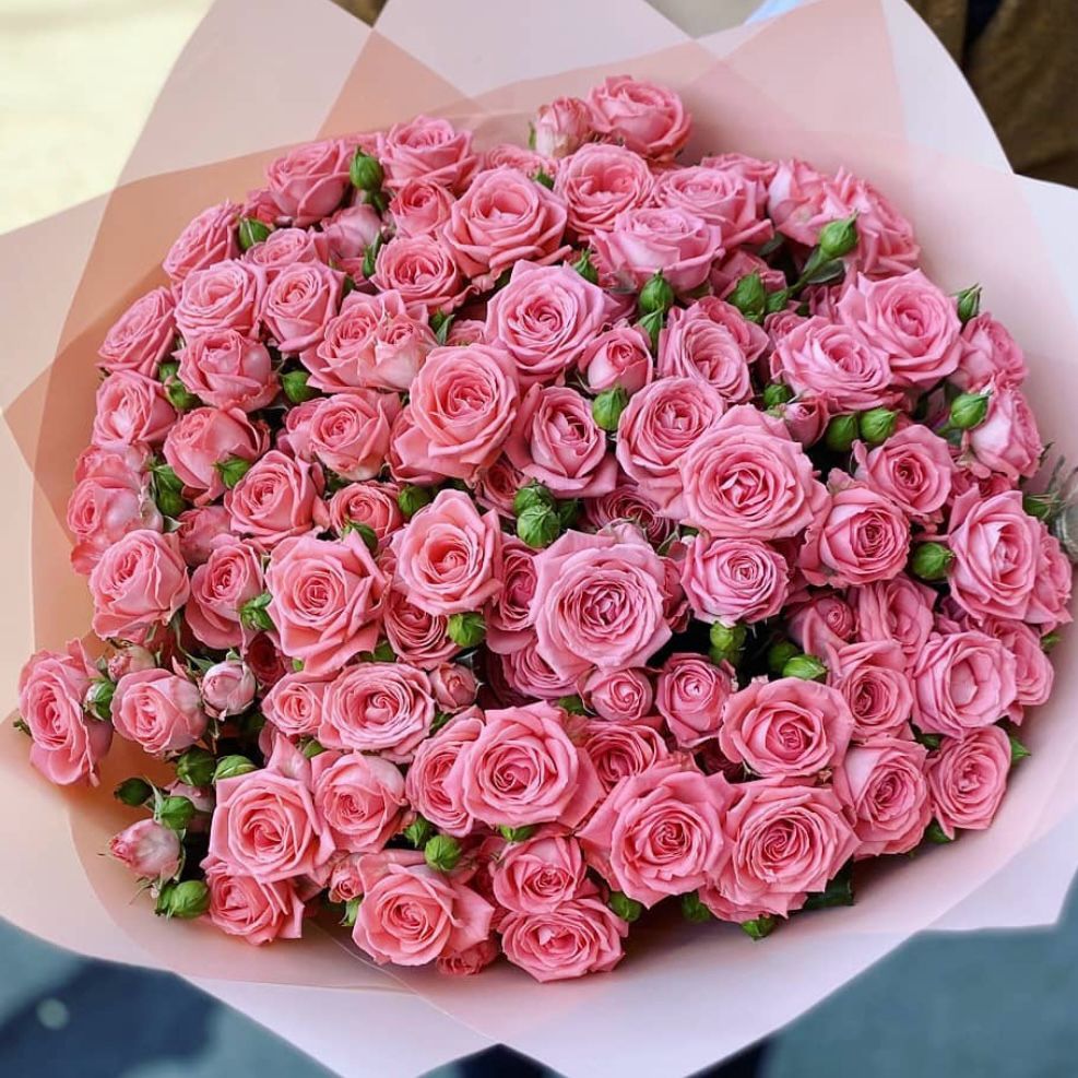 103 Luxury Roses (color of your choice) 
