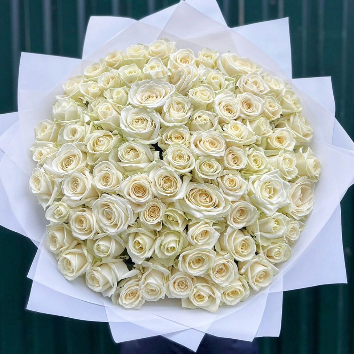 103 Luxury Roses (color of your choice) 