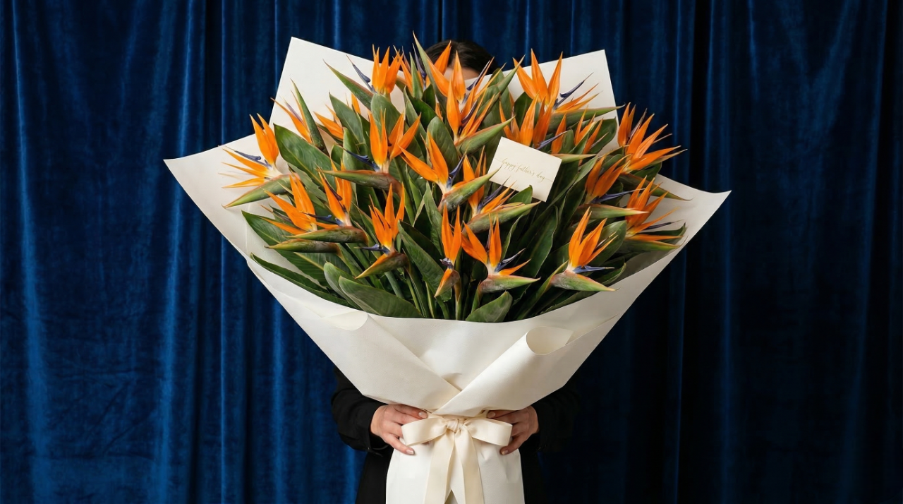 Banner Festa del Papà