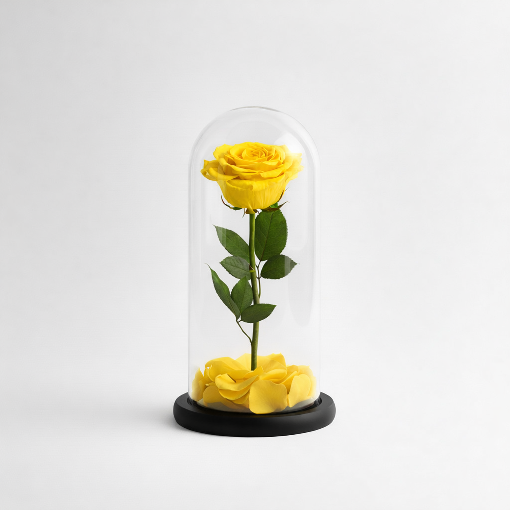 Rosa Eterna Gialla