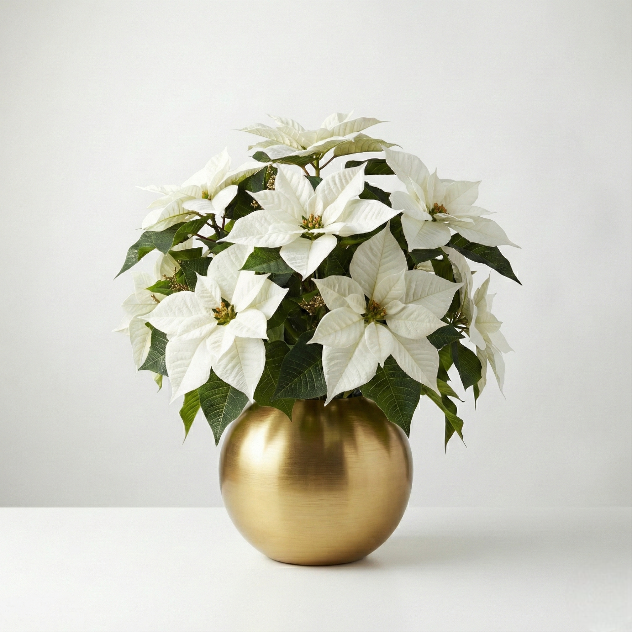 Christmas Gold Stars (vase included)