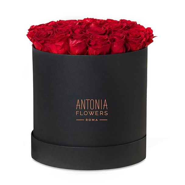 Flower Box Passion Petals 